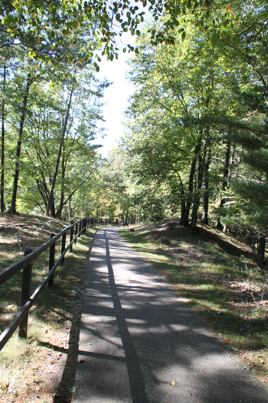 Enjoy miles of these trails in the Ludington State Park