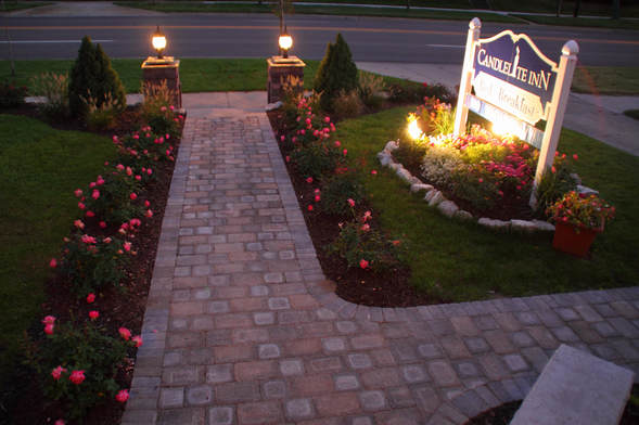 Front walkway with pink blooming roses at sunset