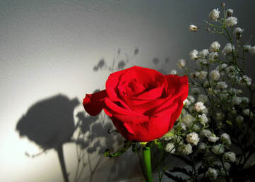 Single rose in a keepsake vase is part of the Candlelite Inn B&B Charcuterie Board Package