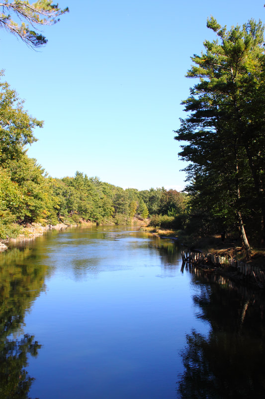 Also inside the Ludington State Park (besides beaches on Lake Michigan and on Lake Hamlin) is Ludington's Big Sable River.  This is a great place to tube or kayak along. 