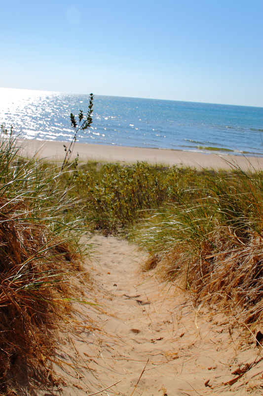 Can't get enough of the sand dunes in the Ludington State Park.