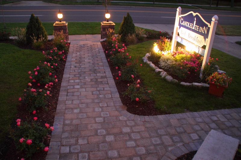 Pink roses bloom all summer long in the Candlelite Inn Bed & Breakfast front yard.